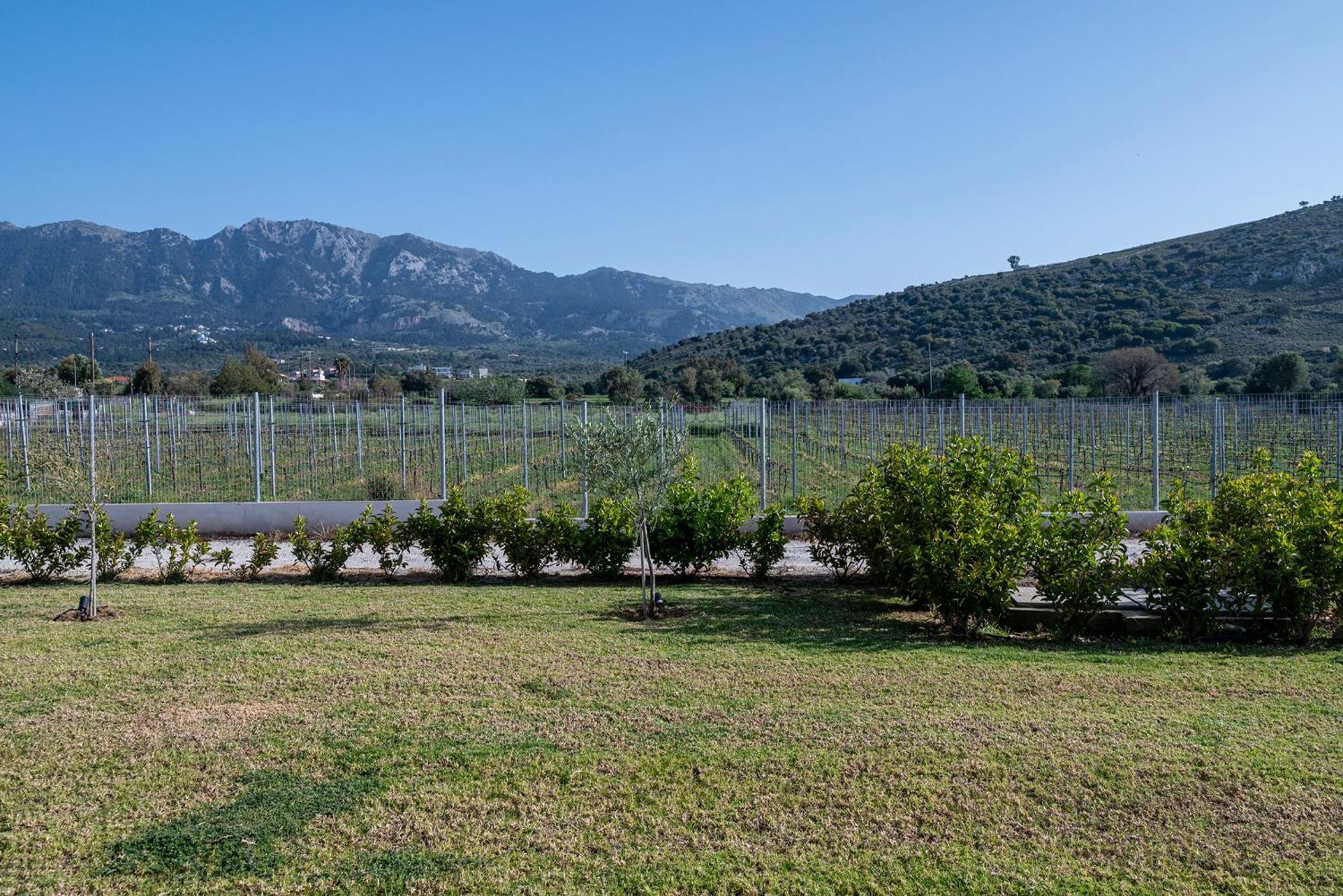 Villa Olive Tree Garden Linopotis Esterno foto